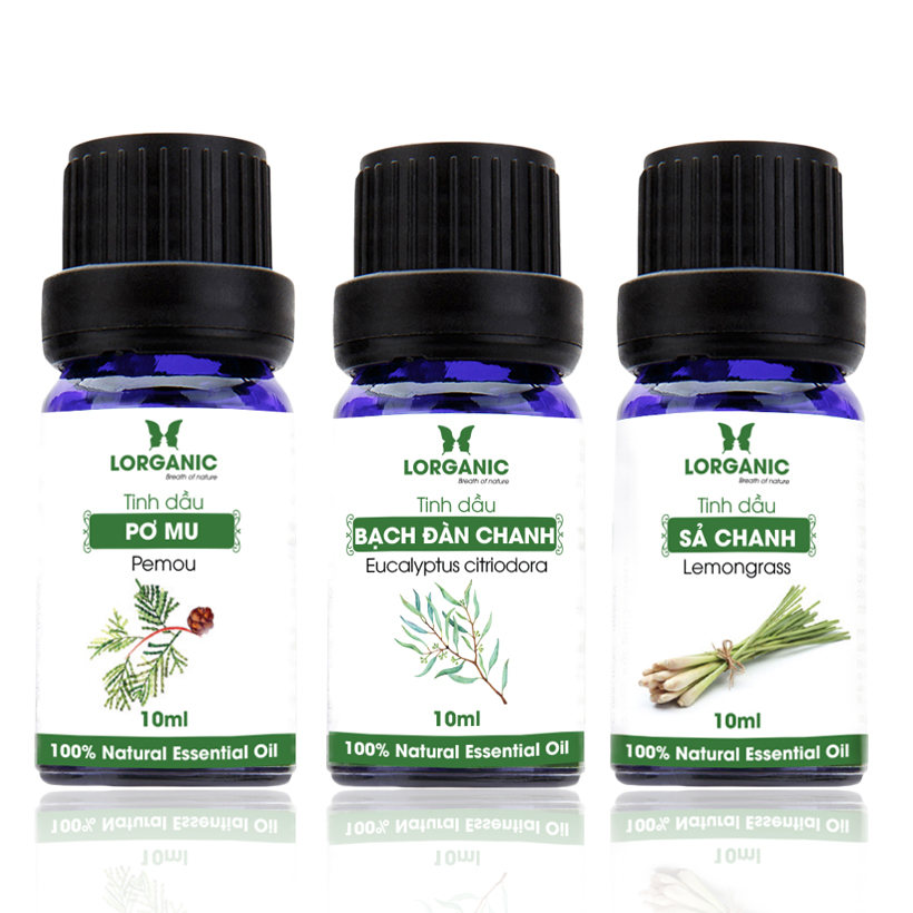 Combo 3 chai tinh dầu pơ mu + bạch đàn chanh + sả chanh (10ml x3)