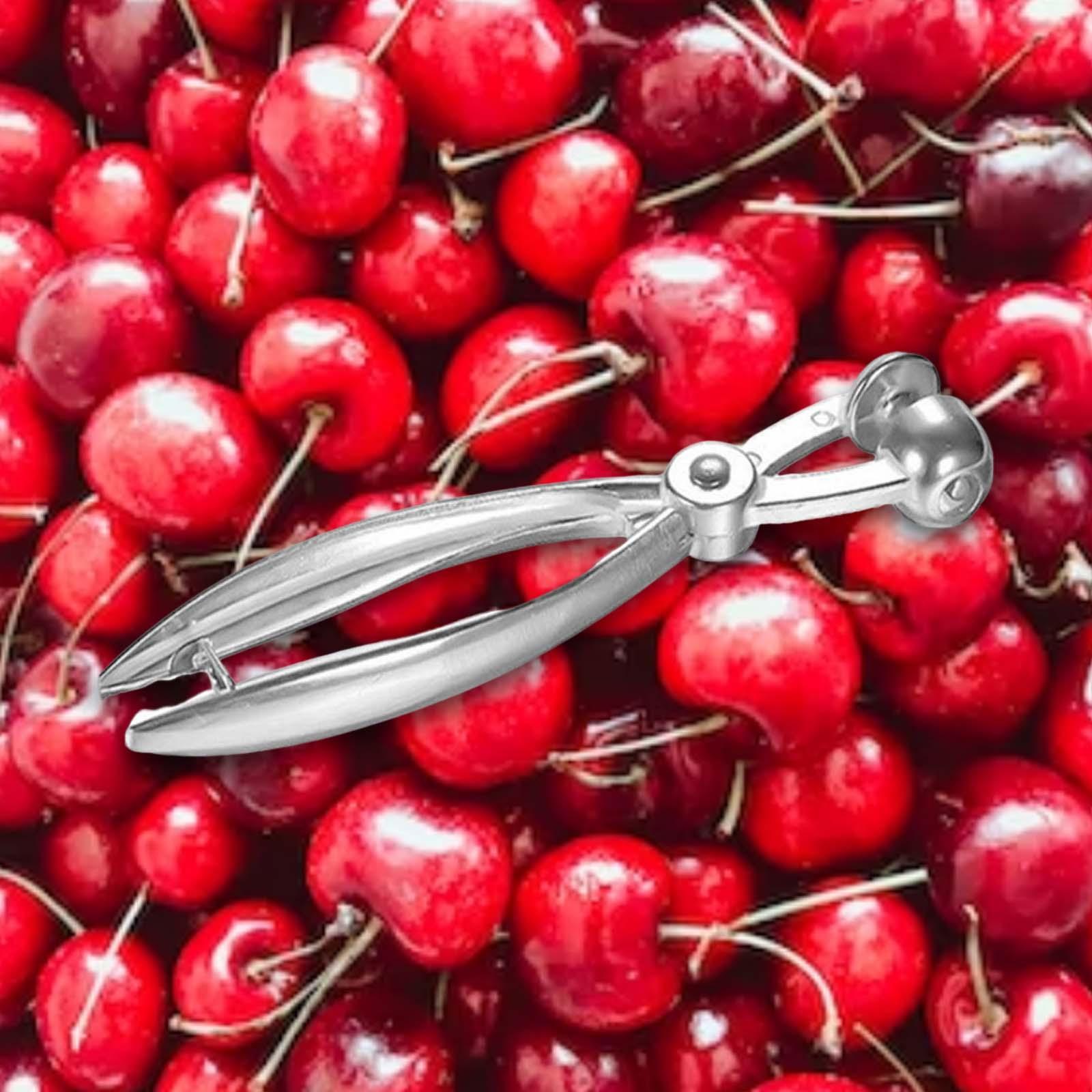 Metal Cherry Olive Pitter Tool, Core Remover, Pear Corer, Corer Fruit for cherry Pears Pear