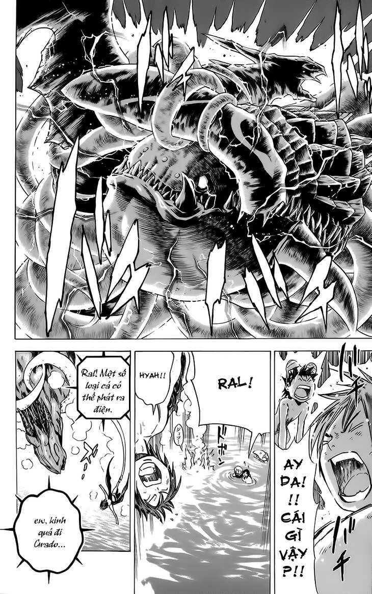 rồng xanh grado chapter 14 14