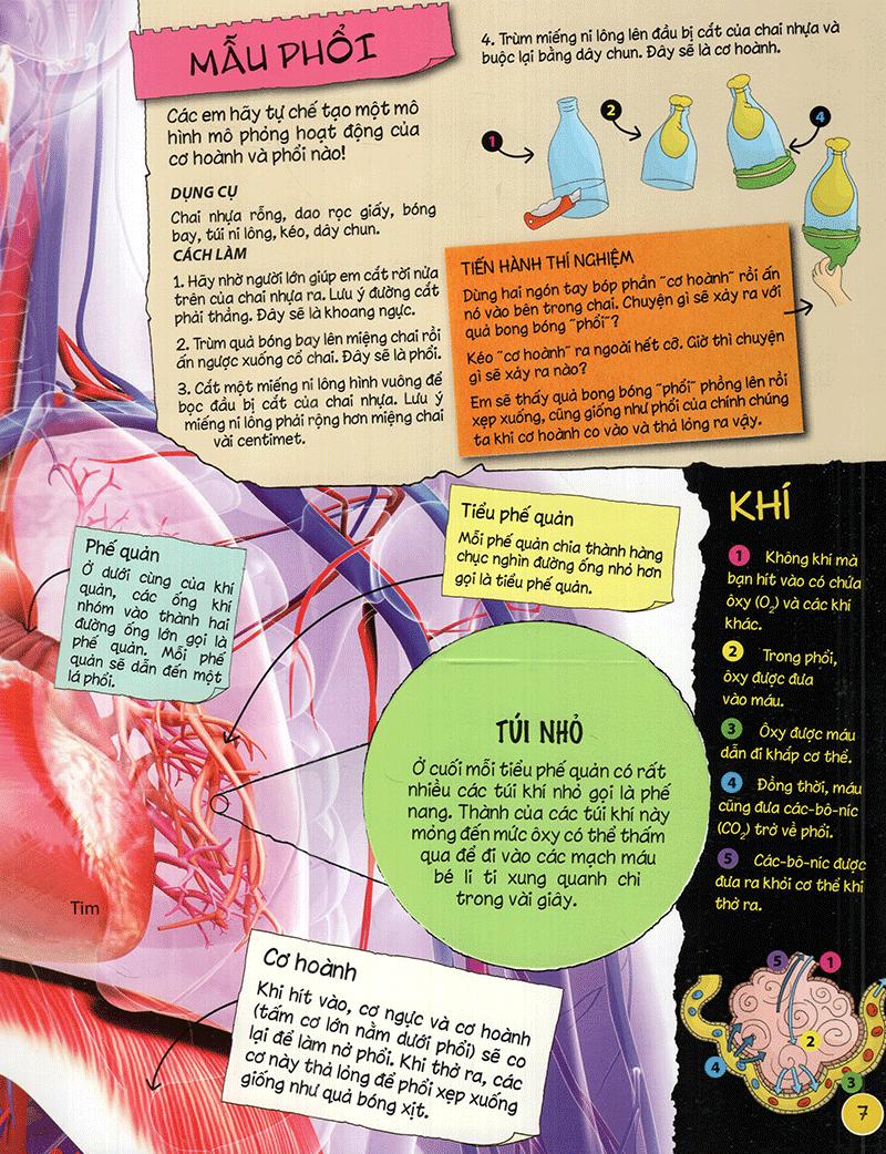 Sách Tìm Hiểu Về: Cơ Thể Người