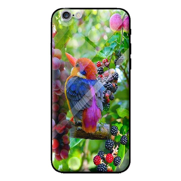 Ốp lưng kính cường lực cho iPhone 6 CHIM 8 - Hàng chính hãng