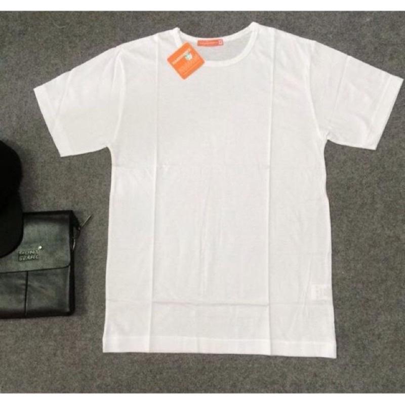 Áo đông xuân Cotton đẹp