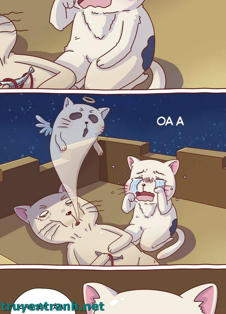 cây nấm kì khả chapter 8 5