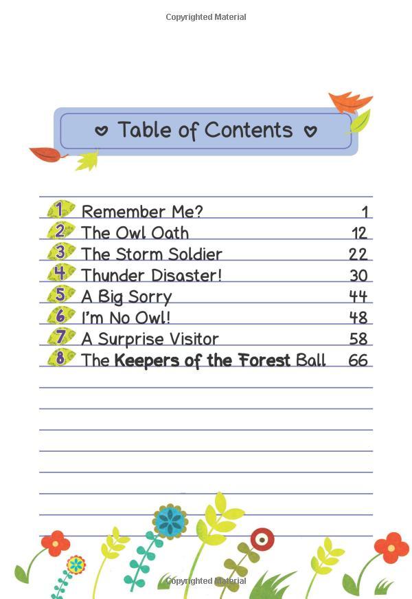 Sách ngoại văn: OWL DIARIES #8: EVA AND THE LOST PONY