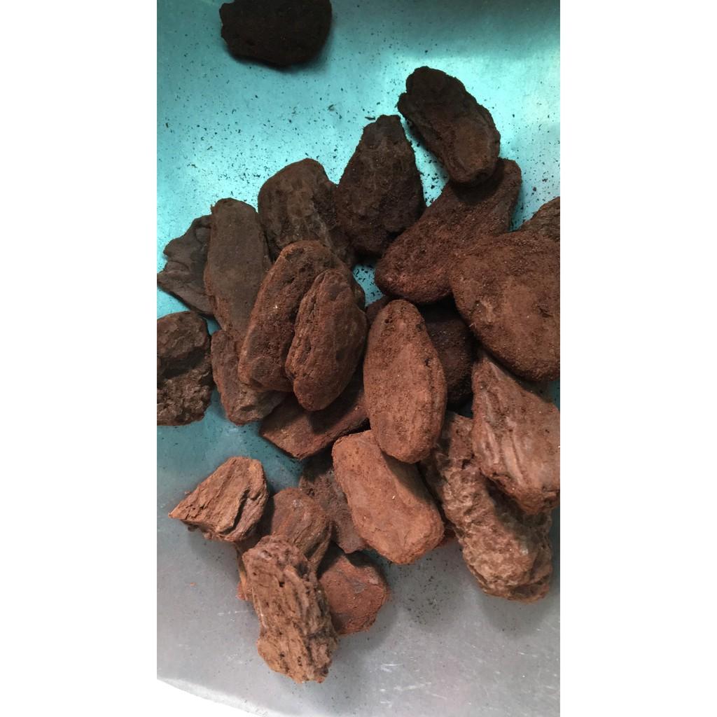 Vỏ thông trồng lan mài cạnh túi 2kg