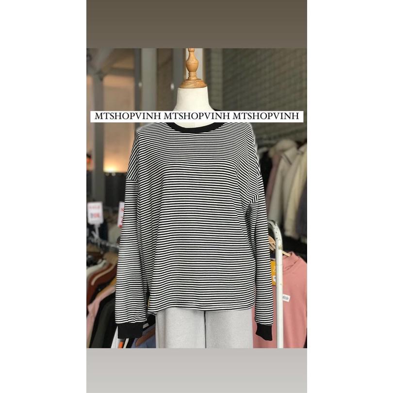 Áo Sweater Sọc ngang