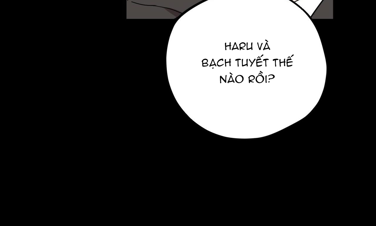 đàn thỏ của habibi chapter 30 46