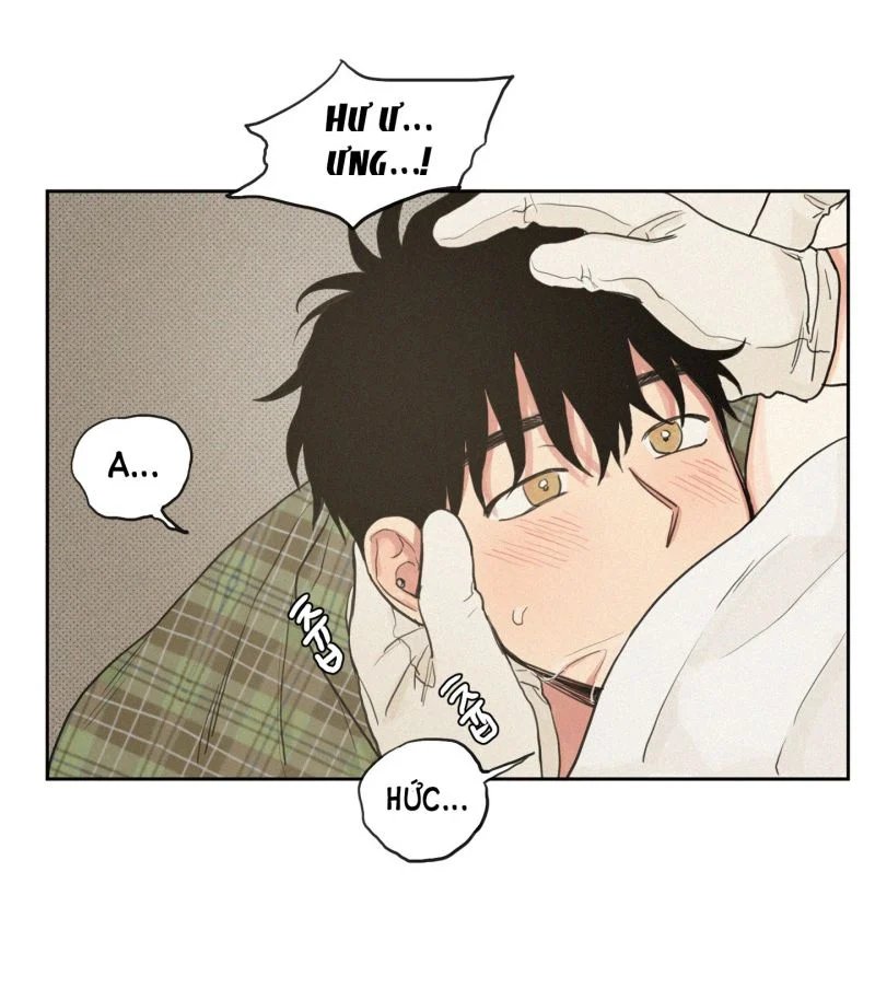 lý do yêu phải thằng bạn thân chapter 57 19