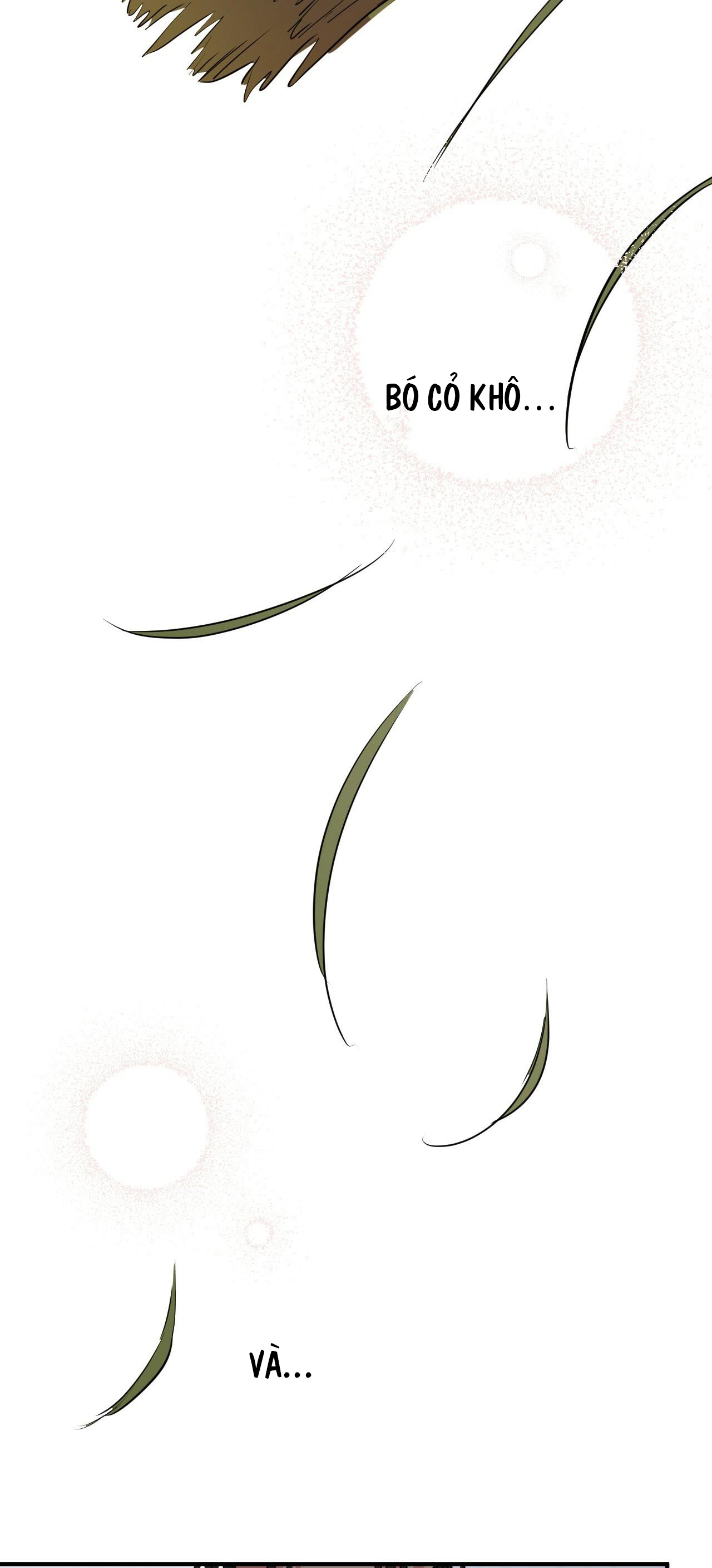 những chú thỏ của hapypy chapter 39 4