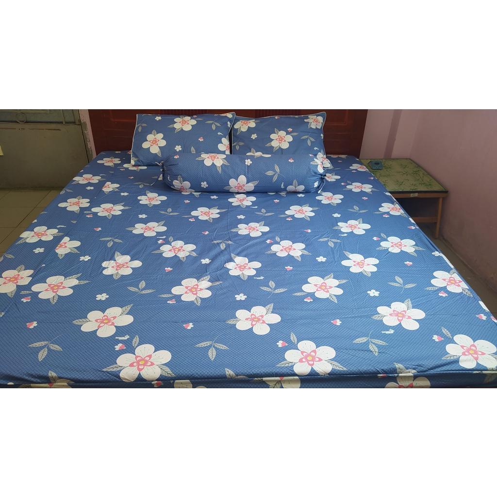Bộ Drap Cotton THẮNG LỢI 4 món /