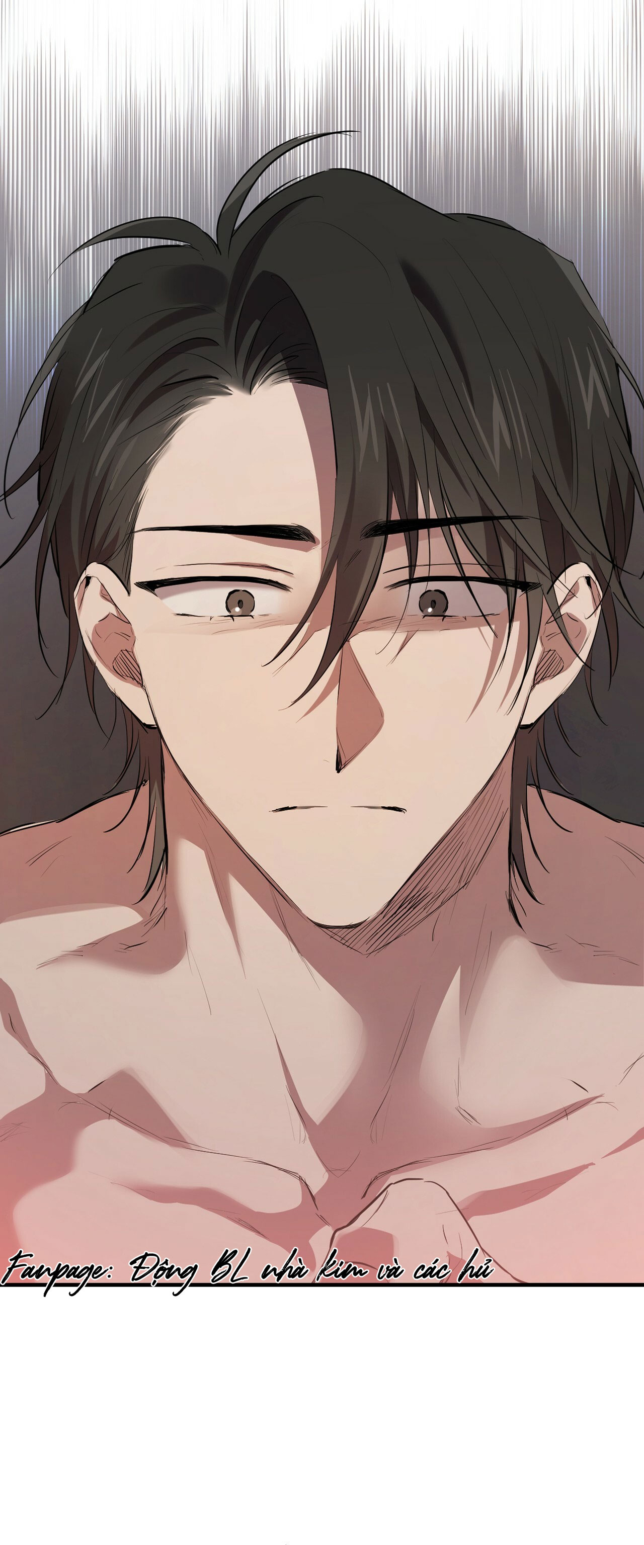 những chú thỏ của hapypy chapter 27 1