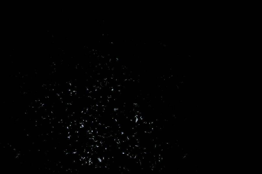 hoàn mỹ lão công tiến hóa luân chapter 96 24