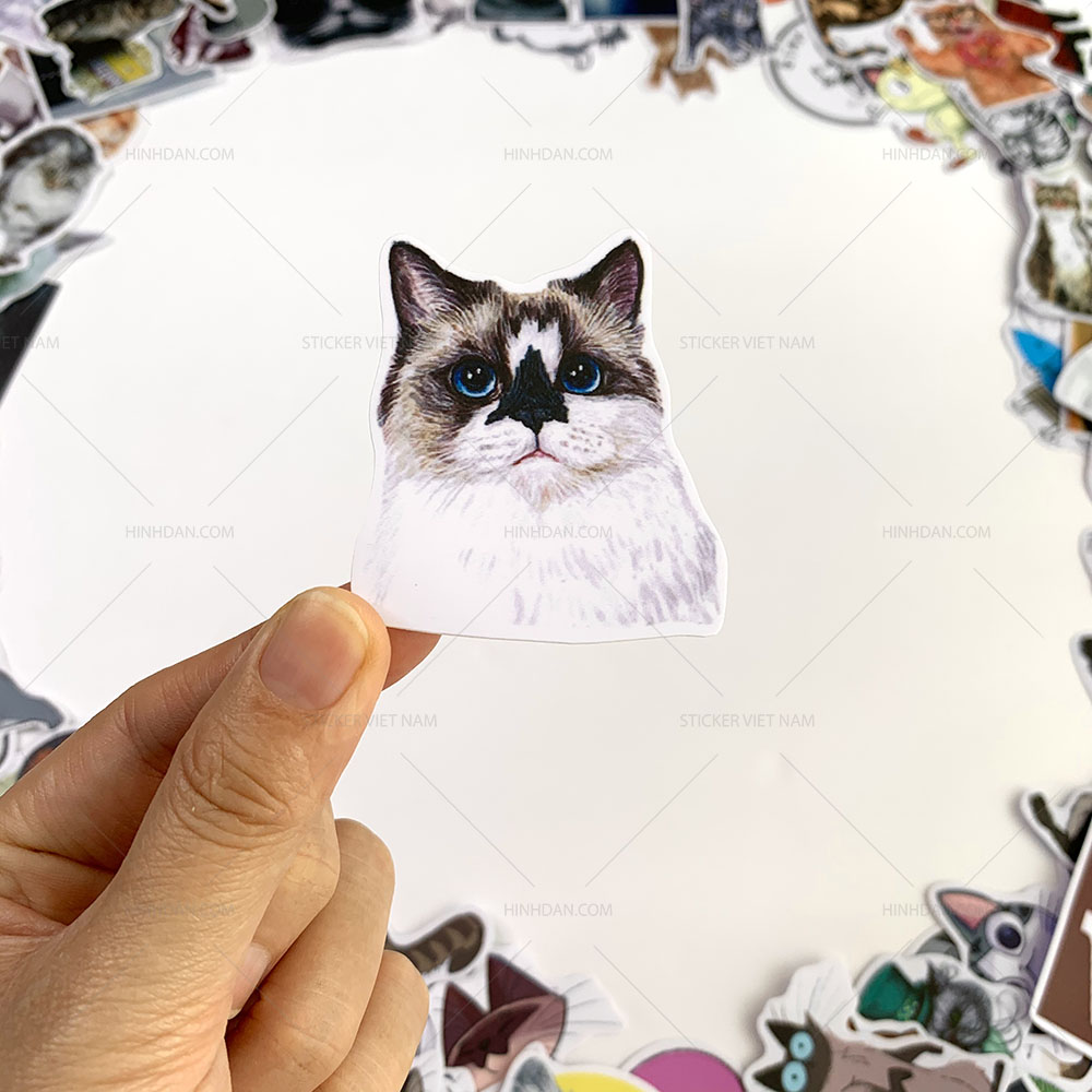 Bộ sticker chủ đề Mèo - Cat - Boss 2019, decal hình dán thú cưng chống nước, trang trí nón bảo hiểm, điện thoại, lap top ...