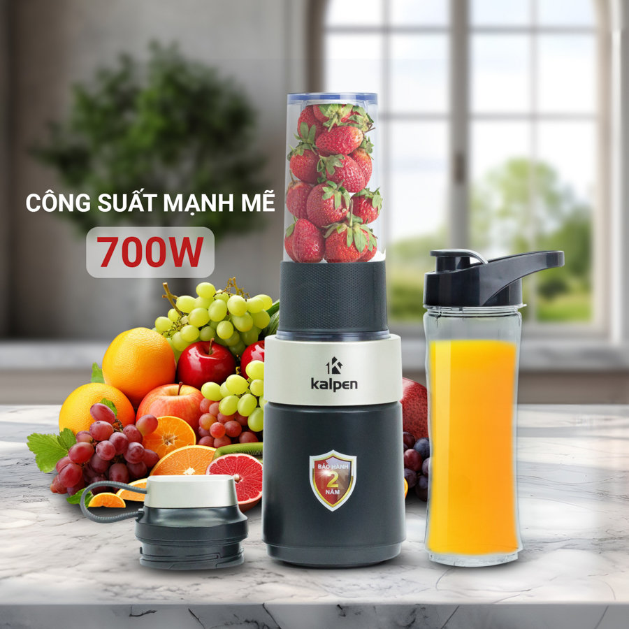 Máy xay sinh tố mini Kalpen Đức B6 công suất 700W tặng Bình 500ml - Hàng chính hãng