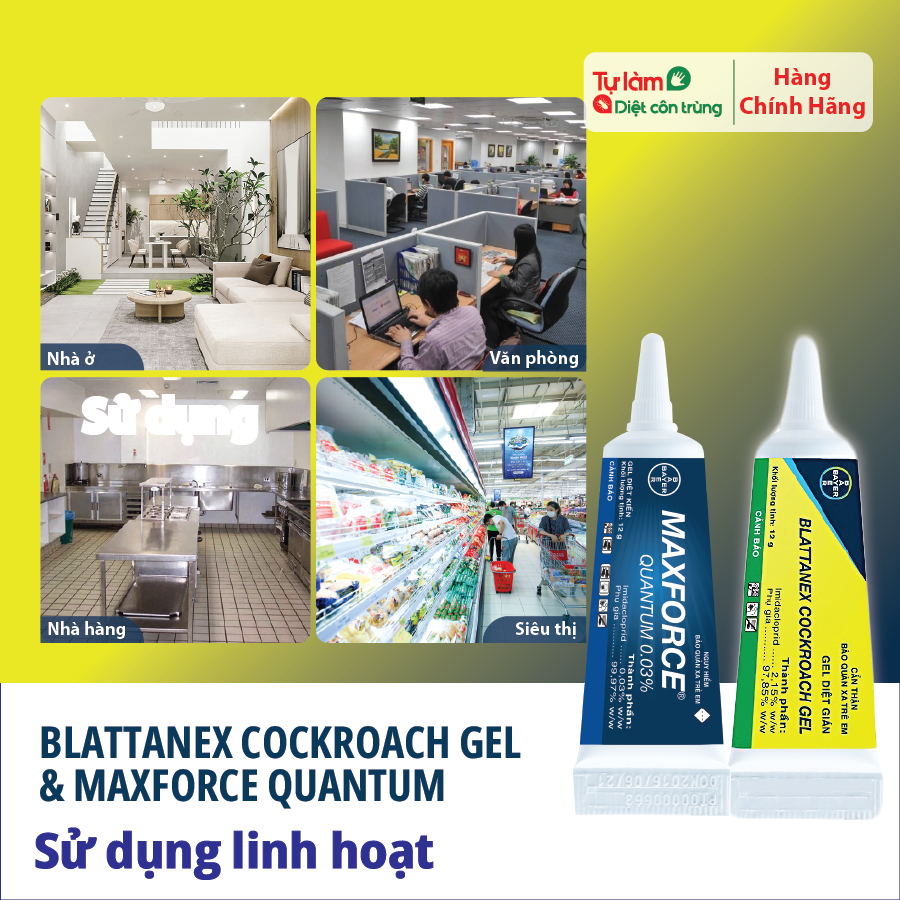 Combo Gel Diệt Kiến Maxforce Quantum Và Gel Diệt Gián Đức Blattanex Bayer Pháp, Tiết Kiệm Hơn