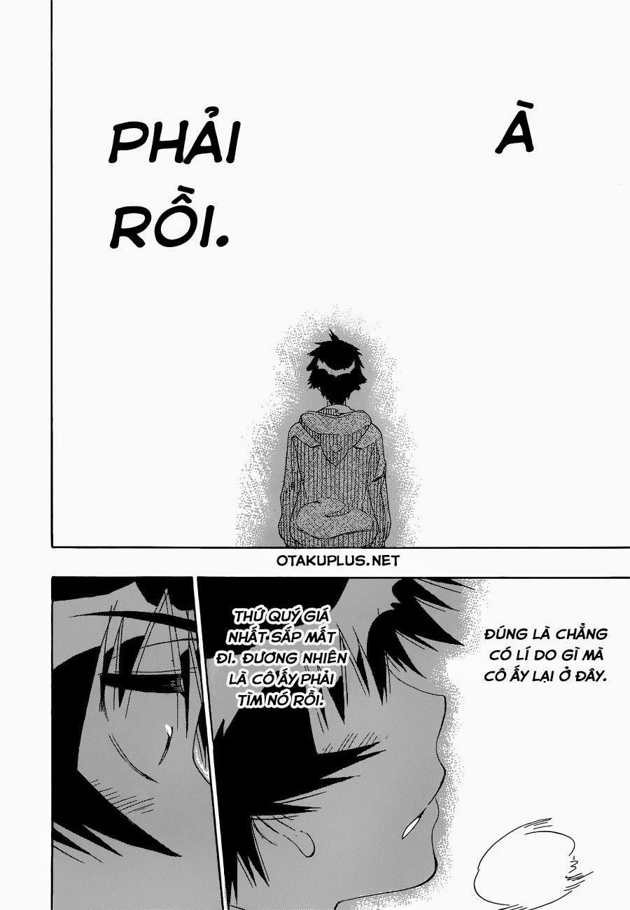nisekoi - tình yêu giả tạo chapter 167 20