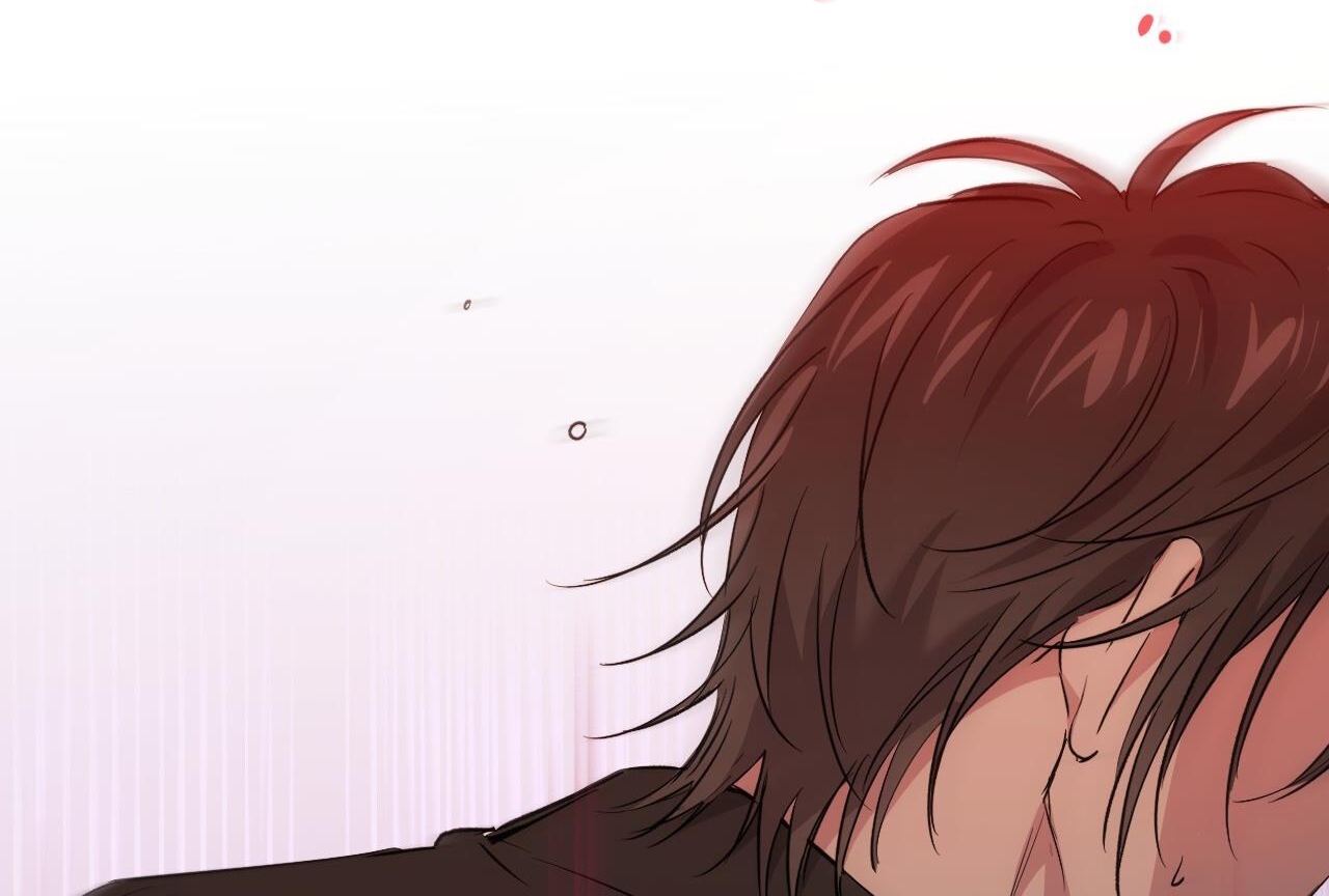 những chú thỏ của hapypy chapter 57 200