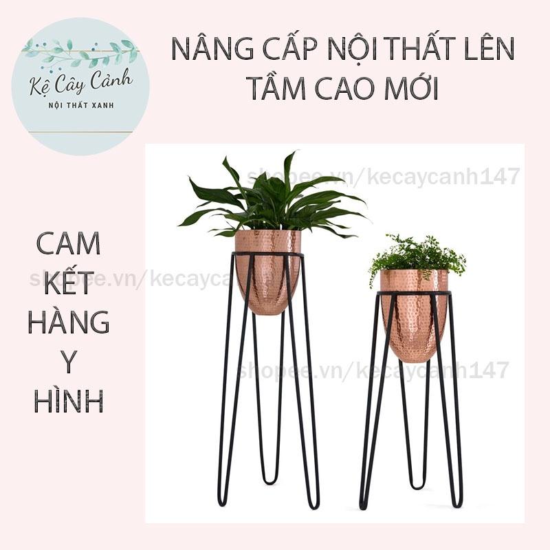 KỆ CÂY CẢNH CỔ ĐIỂN  SANG TRỌNG SƠN TĨNH ĐIỆN - CHỊU LỰC TỐT CHO NỘI THẤT HIỆN ĐẠI