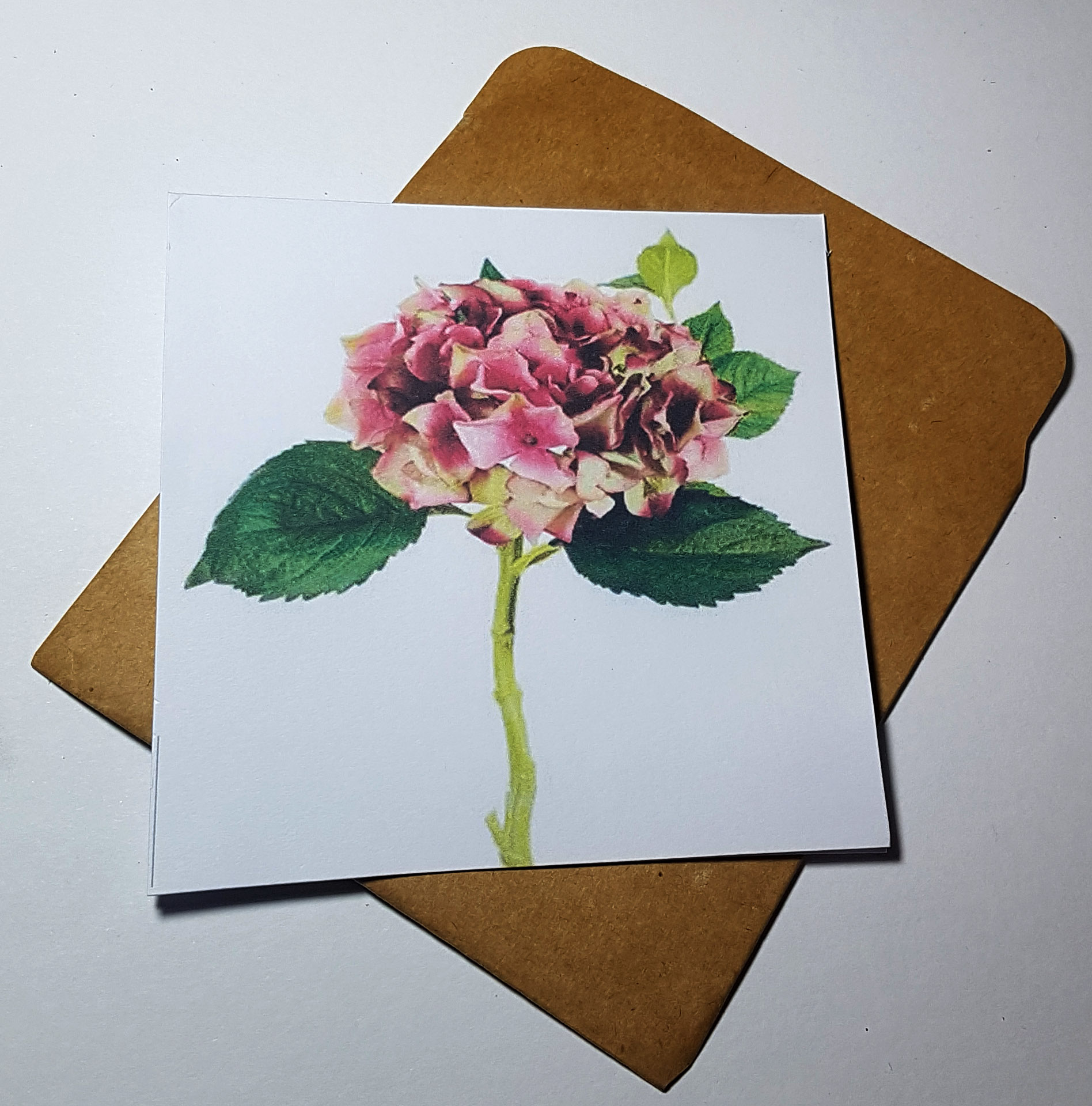 Thiệp phong cách Vintage card quà cám ơn ,chúc mừng sinh nhật và giử tặng người thân yêu