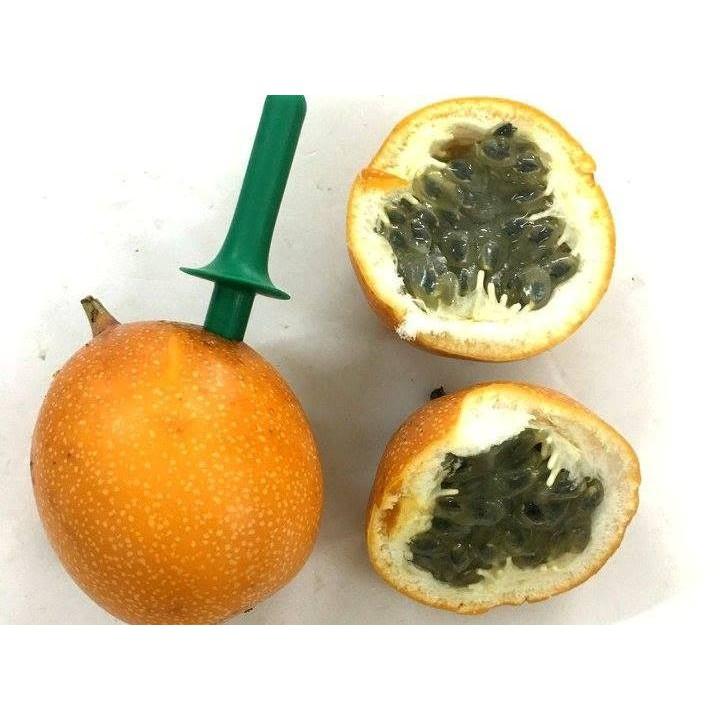 CÂY GIỐNG CHANH LEO NGỌT