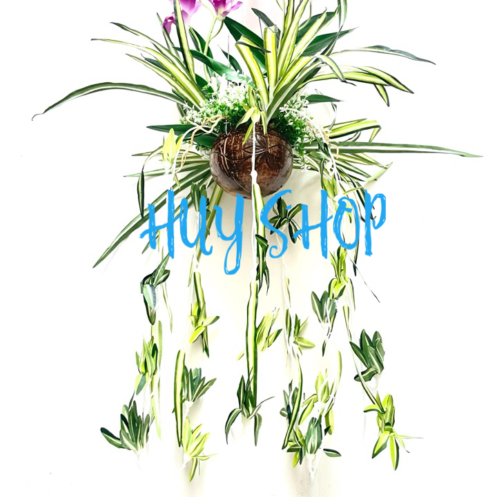 Giỏ gáo dừa Hoa LAN CÒ  Vải cao cấp trang trí treo trần nhà