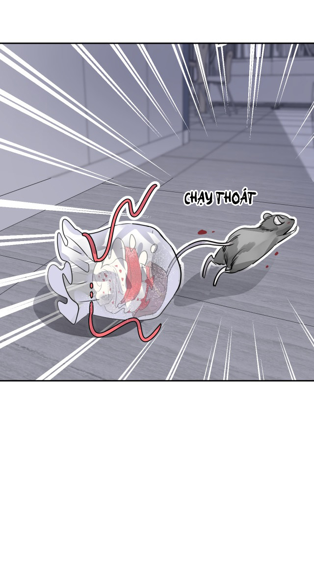 bộ váy của nàng tiên cá chapter 8 15