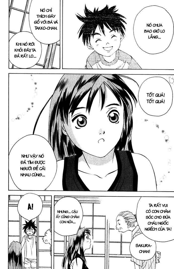 parallel chapter 15 16