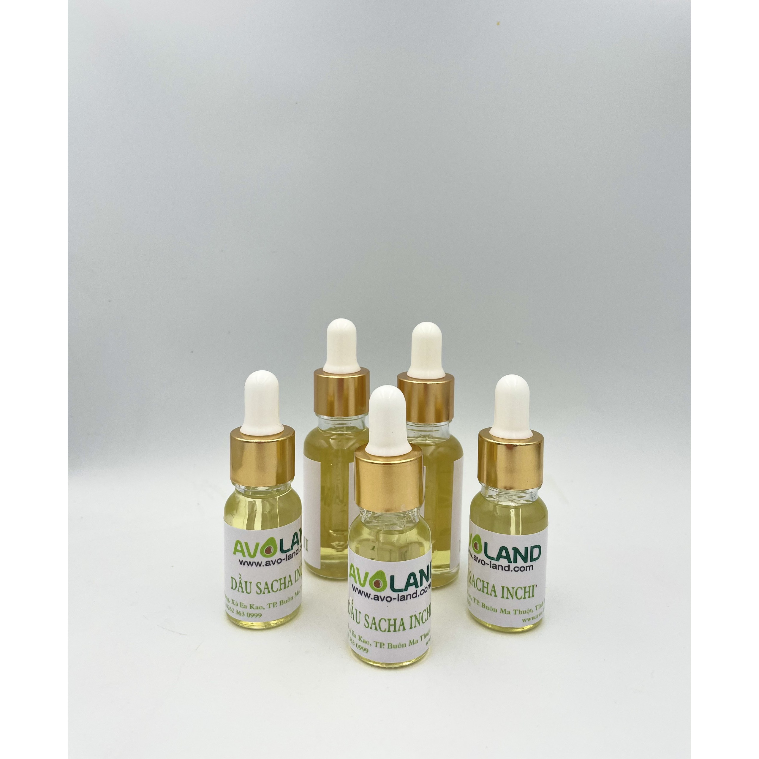 Dầu Sacha Inchi Avoland 10ml - Nguyên chất 100%