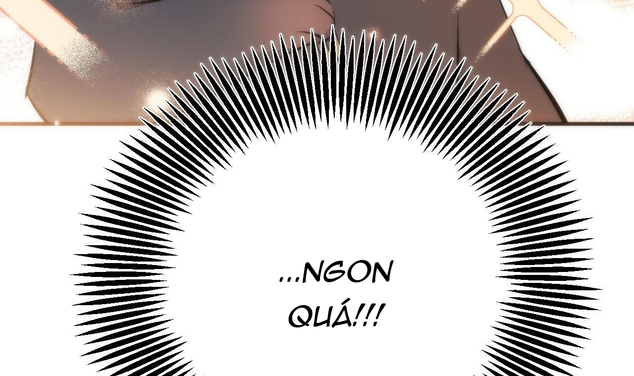 những chú thỏ của hapypy chapter 49 53