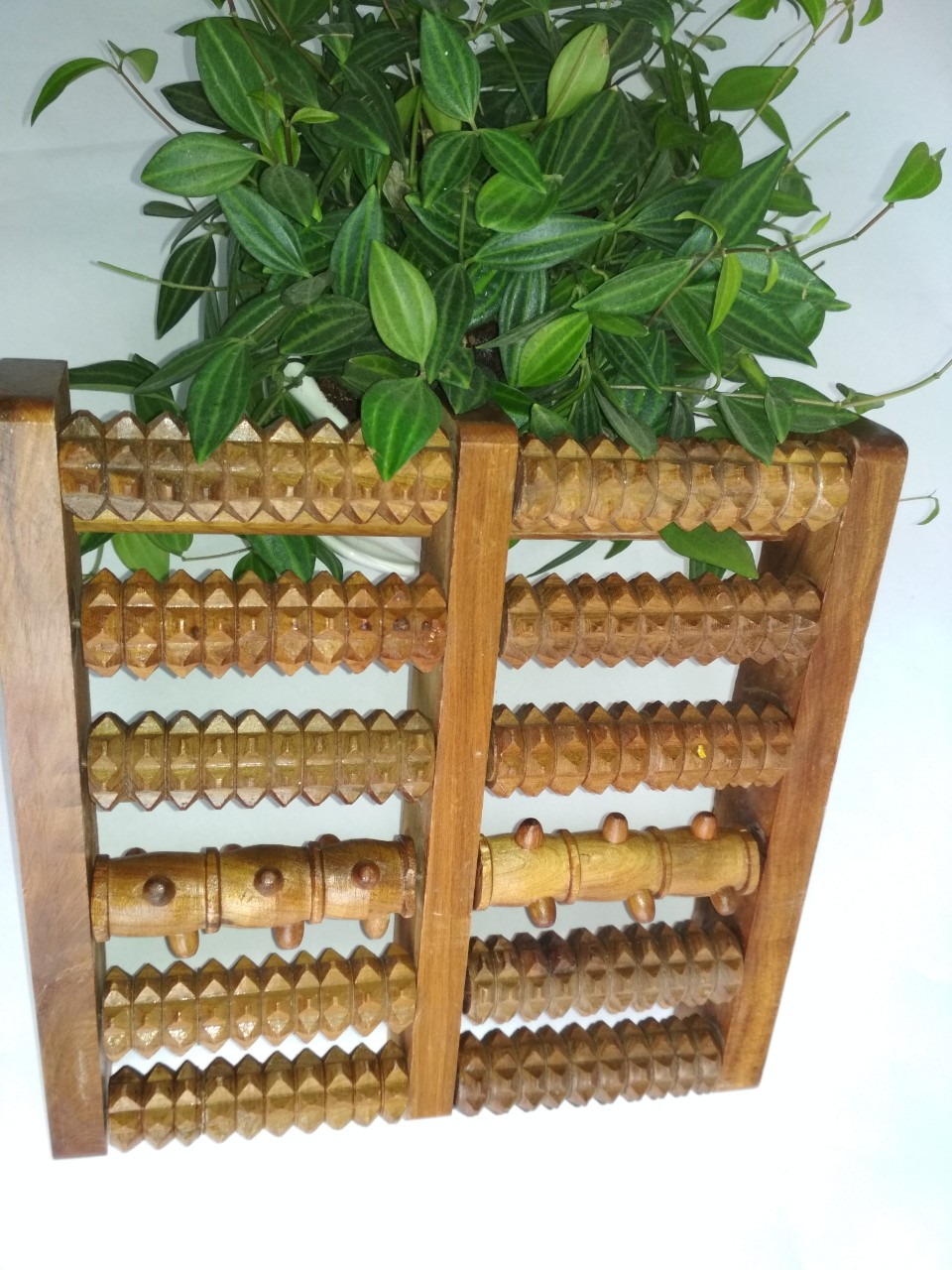 Dụng cụ lăn chân bằng gỗ bách xanh.