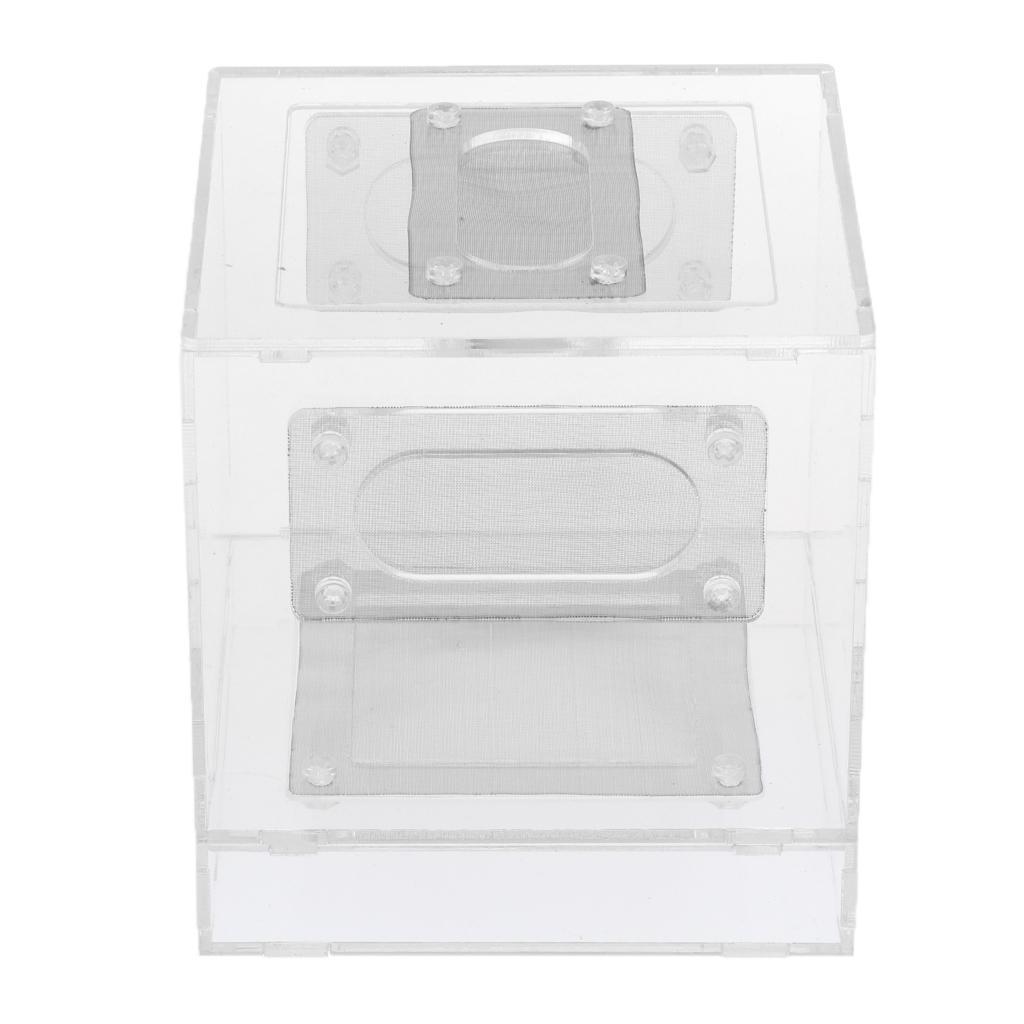 Small Reptile Lizard Spider Scorpion Insect Vivarium Feeding Rearing Box