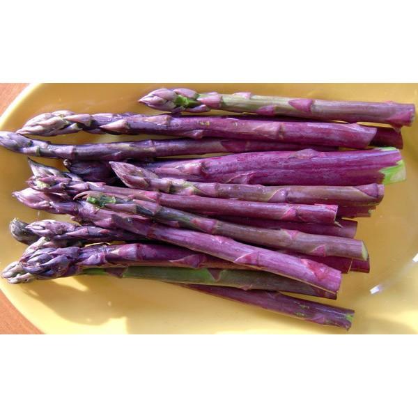 Hạt giống Măng Tây Tím - Gói 20 hạt