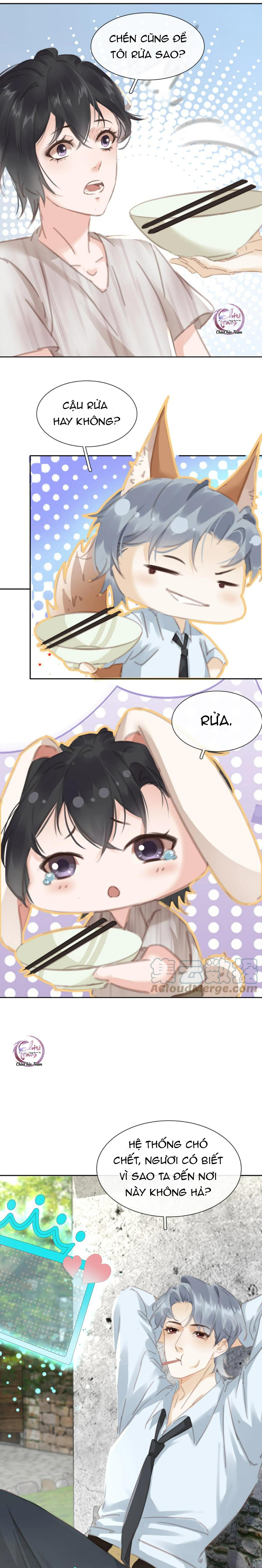 không làm trai bao! chapter 79 6