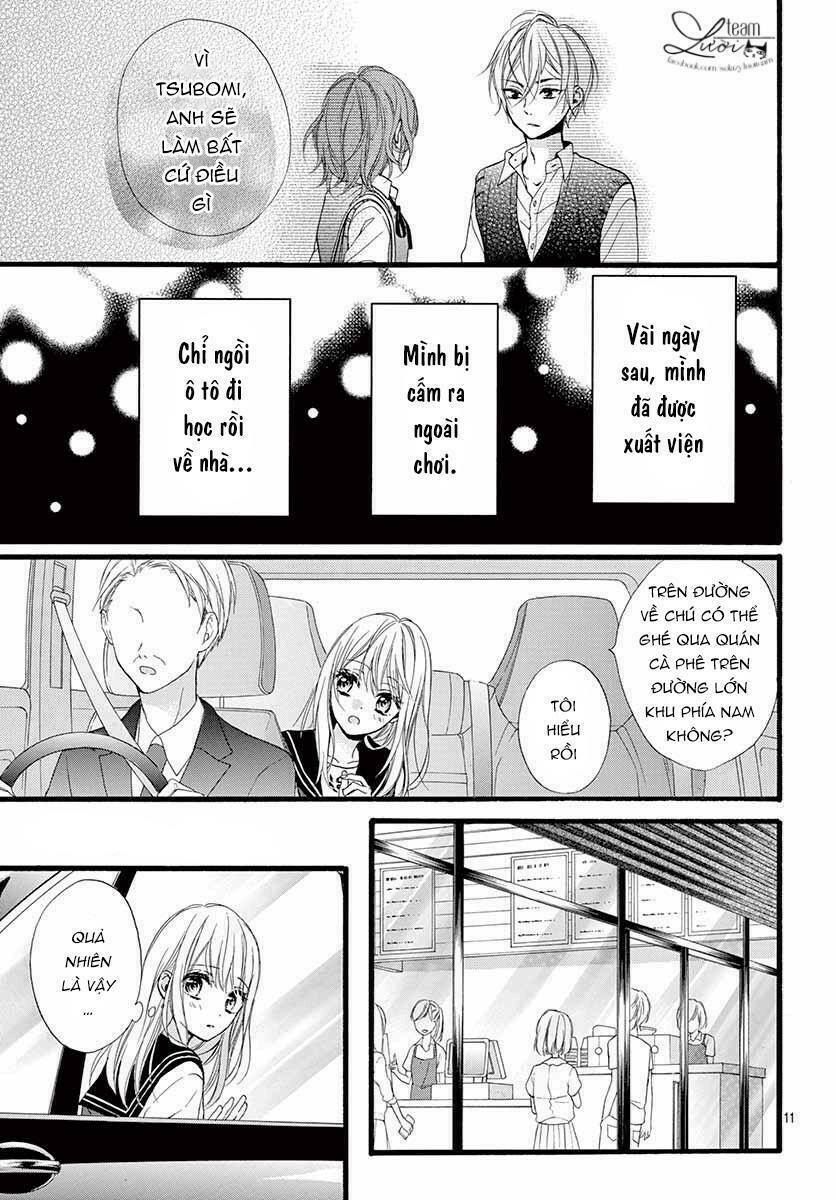 kyutto musunde, suki chapter 7 11