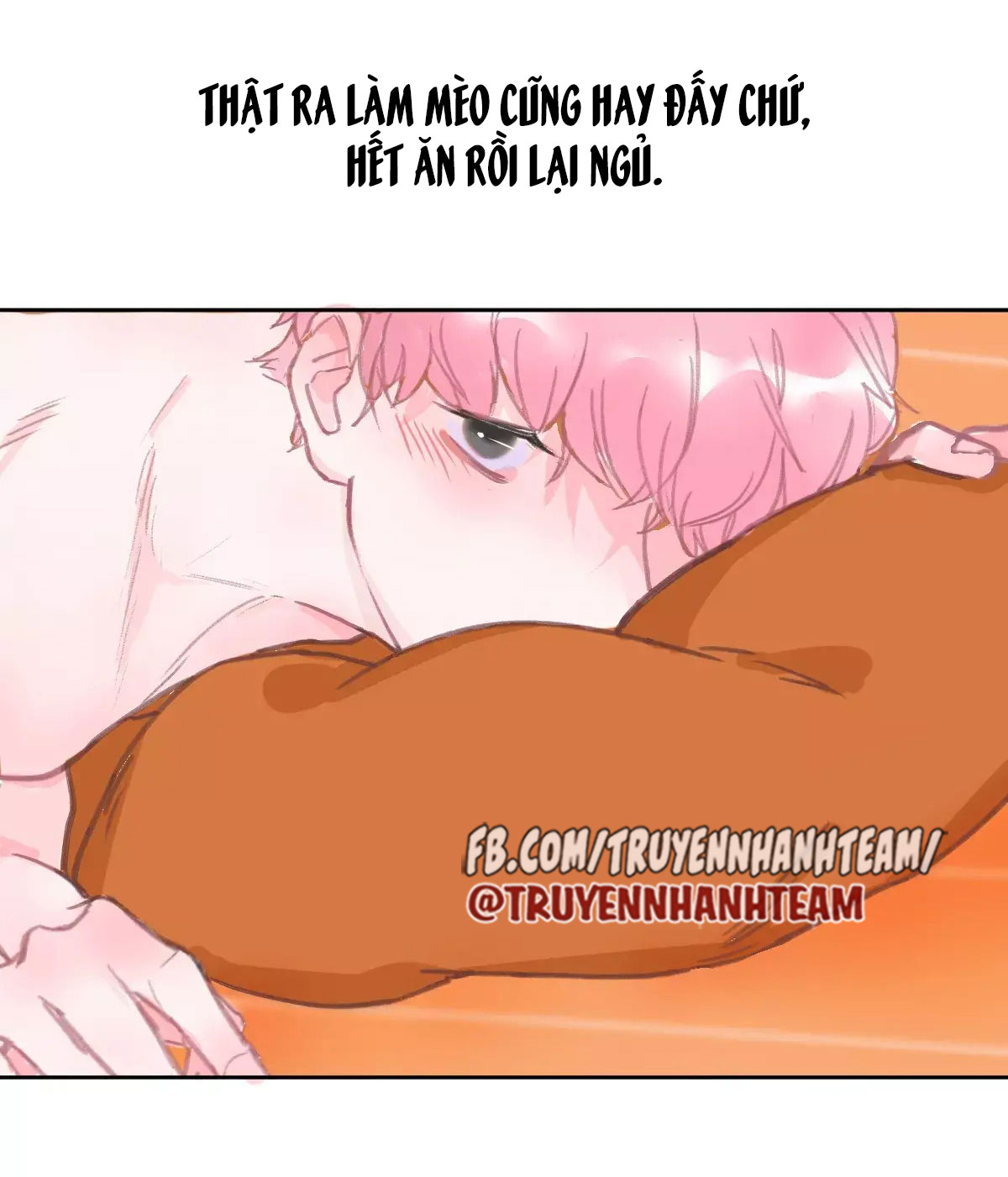 xã hội mèo chapter 2 27