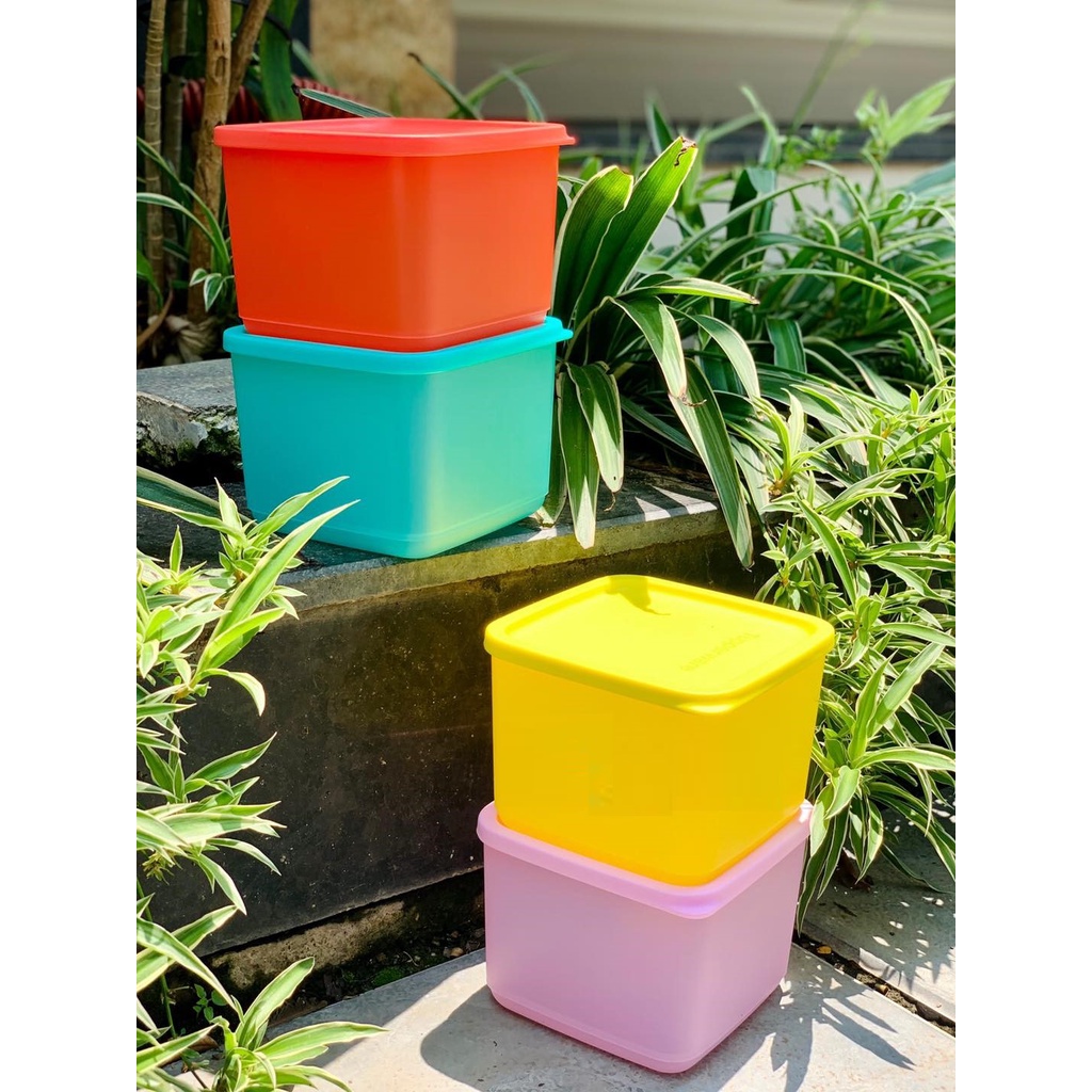 Bộ 4 Hộp Bảo Quản Thực Phẩm Tupperware Medium Summer Fresh