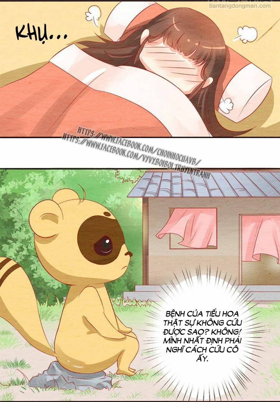 nhân hoa duyên chi sư phụ đại nhân cầu sủng ái chapter 11 30