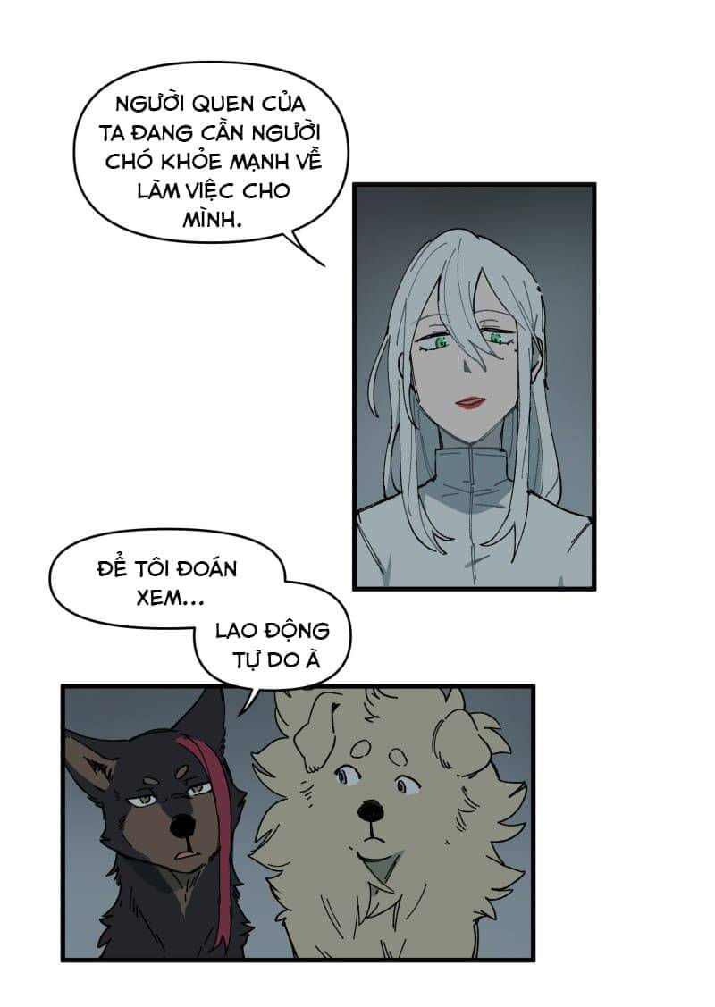 lumine - cội nguồn ánh sáng chapter 145 9