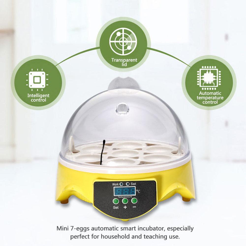 Máy ấp trứng tự động chứa được 7 trứng cho hộ gia đình