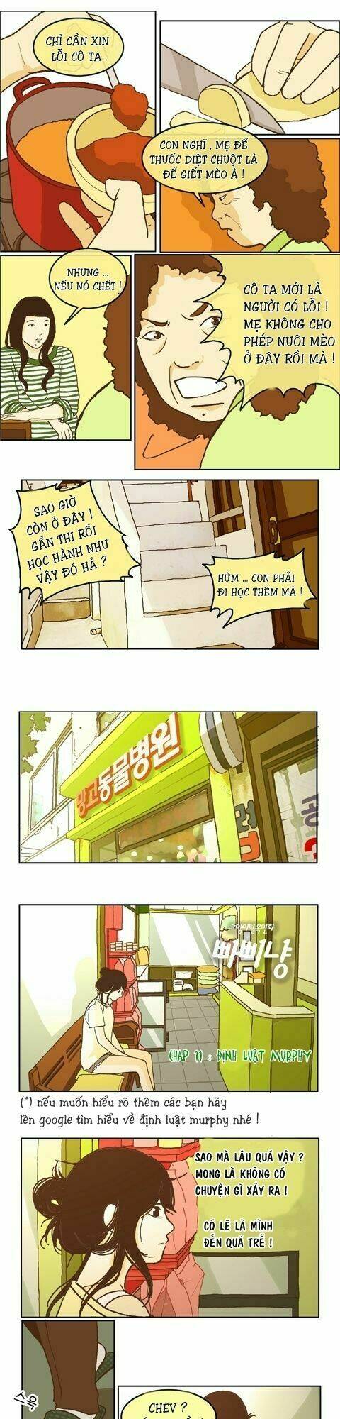 papi nyang chapter 11 1