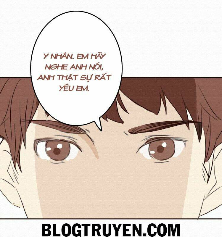 tình yêu không nói dối chapter 8 33