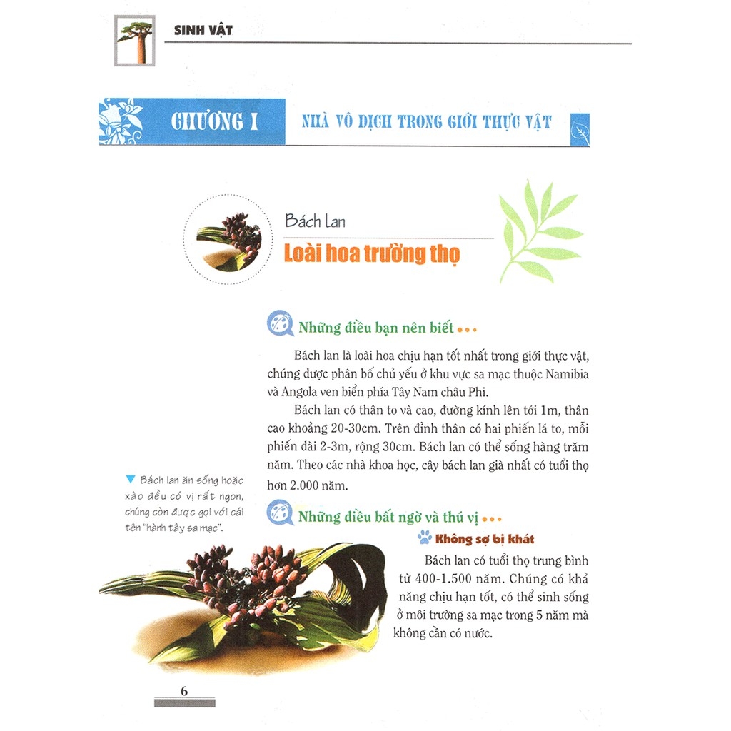 Combo: Khám Phá Bí Ẩn Thế Giới Tự Nhiên