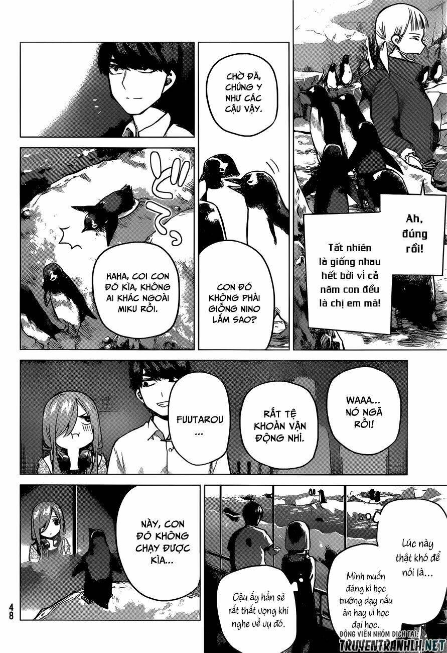 the five wedded brides chapter 98 9