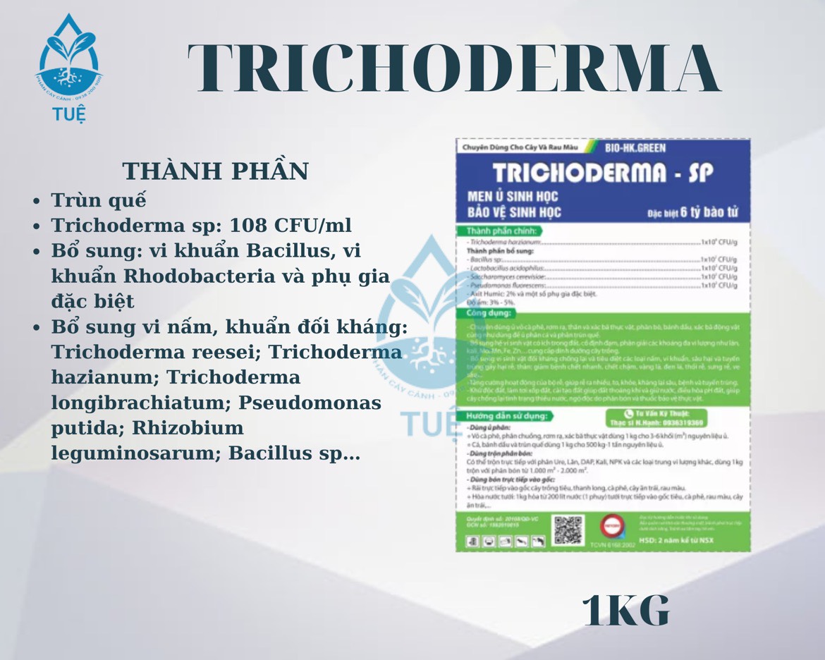 Chế phẩm men vi sinh nấm TRICHODERMA dùng ủ phân và xử lý đất