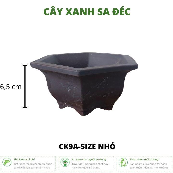 Bộ chậu lục giác mini hoa văn cành trúc và hoa sen 2 kích cỡ CK9