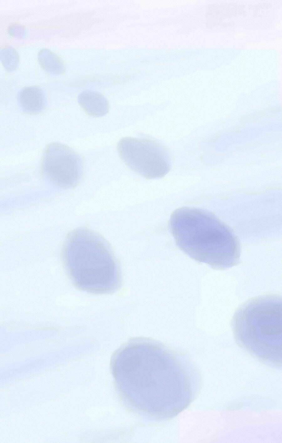 chỉ nhiễm thành hôn chapter 205 26