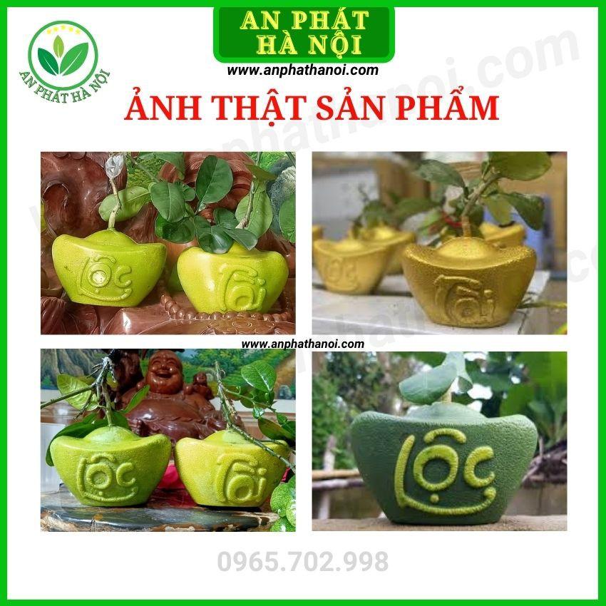 Khuôn Bưởi thỏi vàng số 1 - Khuôn tạo hình trái cây loại đẹp, dày, bền, in chữ nổi TÀI LỘC