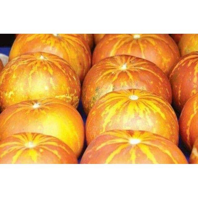 274A Hạt Giống Dưa Gang/ Dưa Bở Thơm Cao Sản - - Qủa Thơm Ngon, Bổ Dưỡng