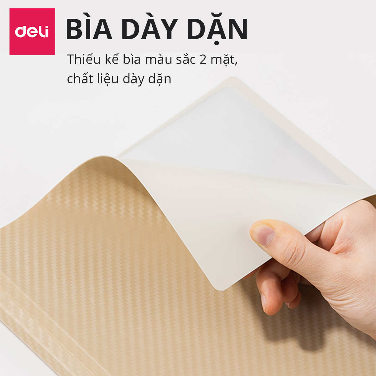 File Lá Đựng Tài Liệu A4 / Túi Tài Liệu Lá A4 20/30/40/60 Lá Deli - Lưu Trữ Tài Liệu Chứng Từ Hồ Sơ Phù Hợp Học Sinh Văn Phòng