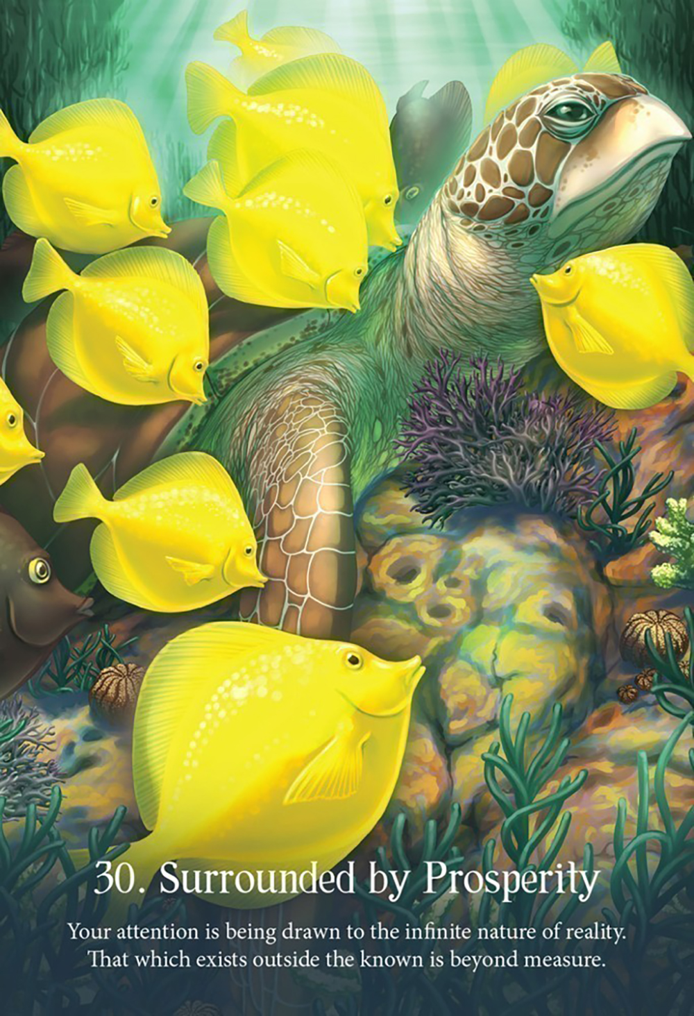 Bộ Bài Whispers Of The Ocean Oracle 50 Lá